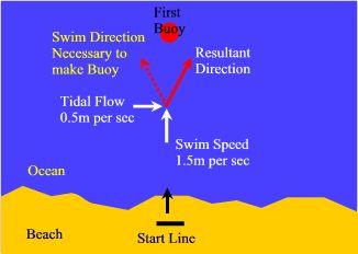 Tidal flow diaggram