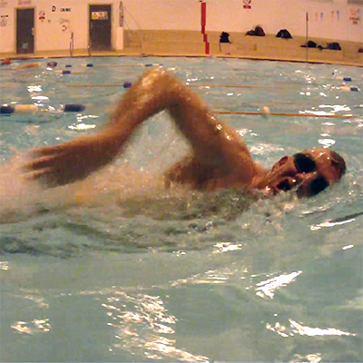 freesyle swimmer